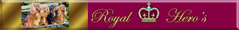 Royal Hero’s Cavaliere