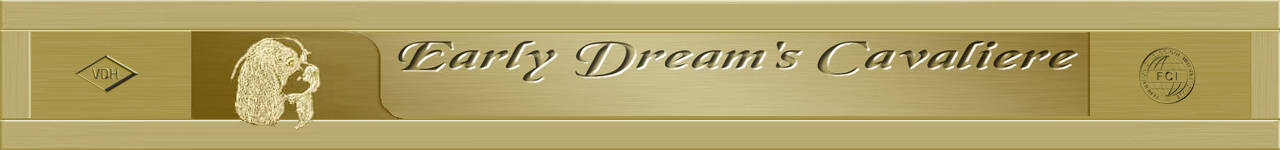 Earlydream_logo